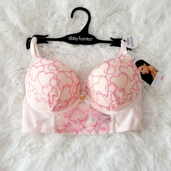 🩷DAISY FUENTES BRAND NEW HEART EMBROIDERED BRA SIZE 34B - Picture 1 of 5